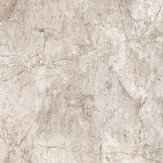 White Honeycombe Mural - Beige - by Metropolitan Stories. Click for more details and a description.