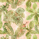 Botanicals III Mural - Multi-Colour - by Metropolitan Stories. Click for more details and a description.