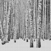 Panoramique Frozen Forest - Noir - Metropolitan Stories. Cliquez pour en savoir plus et lire la description.