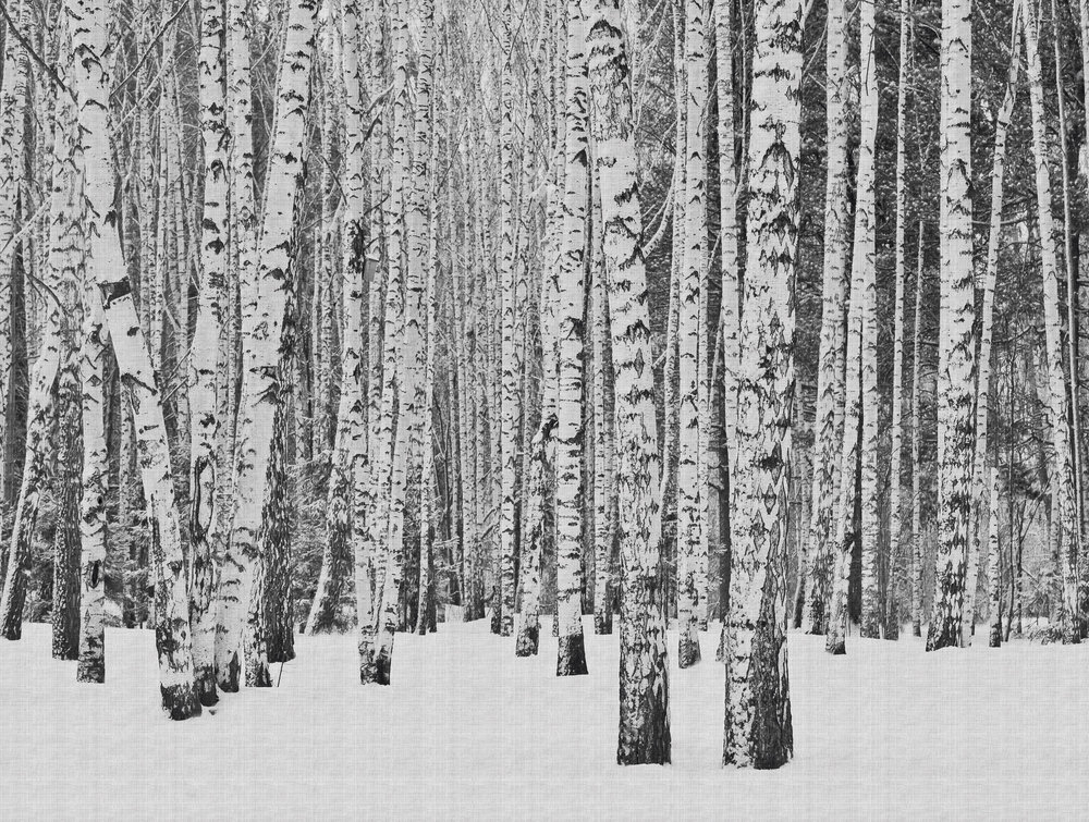 Frozen Forest Mural - Black - by Metropolitan Stories