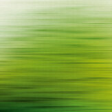 Panoramique Brushed Green - Jaune - Metropolitan Stories. Cliquez pour en savoir plus et lire la description.