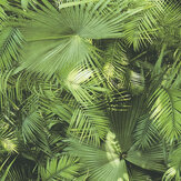 Palm Leaf Wallpaper - Green - by The Wall Cover. Click for more details and a description.