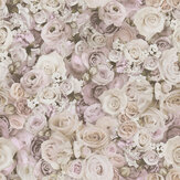 Rose Wall Wallpaper - Pink - by The Wall Cover. Click for more details and a description.
