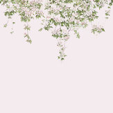 Classic Clematis Mural - Pink - by Sian Zeng. Click for more details and a description.
