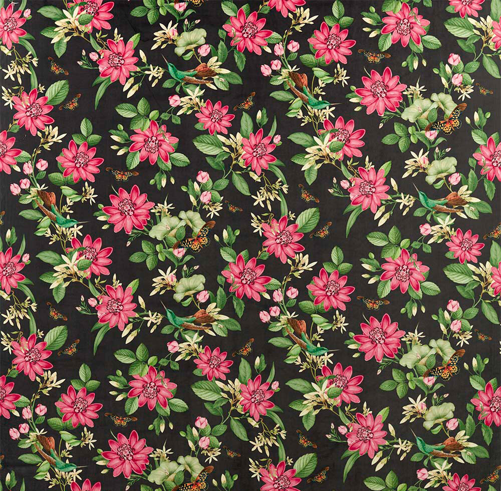 Pink Lotus Velvet Fabric - Noir - by Wedgwood by Clarke & Clarke