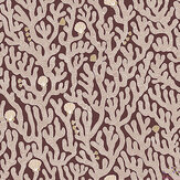 Coral Wallpaper - Spicer Brown - by Josephine Munsey. Click for more details and a description.