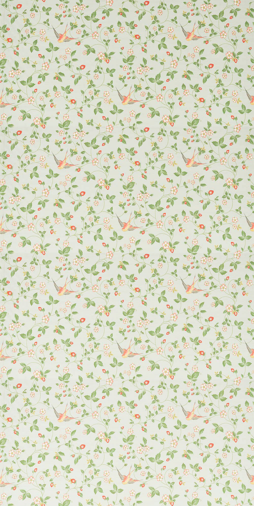 Wild Strawberry  Fabric - Dove - by Wedgwood by Clarke & Clarke