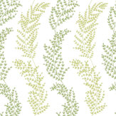 Mimosa Trail Wallpaper - Olive - by Ohpopsi. Click for more details and a description.