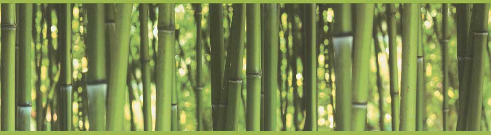 Bamboo Border - Green - by Albany