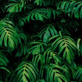 Rainforest Leaves Large Mural - Emerald - by Origin Murals. Click for more details and a description.