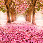 Blossom Trees Large Mural - Rose Pink - by Origin Murals. Click for more details and a description.