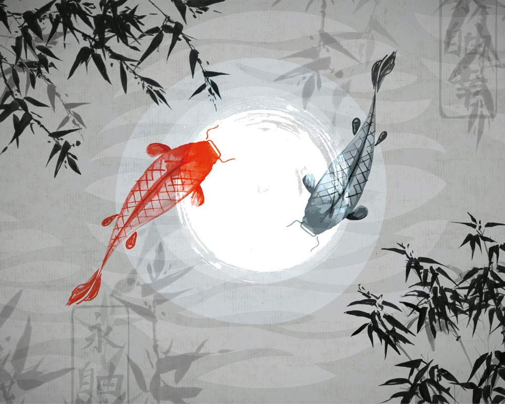 Watercolour Koi Mural - Graphite - by Origin Murals