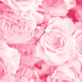 Petals Medium Mural - Rose Pink - by Origin Murals. Click for more details and a description.