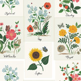 Botanical Prints Wallpaper - White - by Rifle Paper Co.. Click for more details and a description.