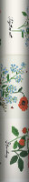Botanical Prints Wallpaper - White - by Rifle Paper Co.