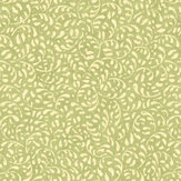 Tansy Wallpaper - Green - by G P & J Baker. Click for more details and a description.