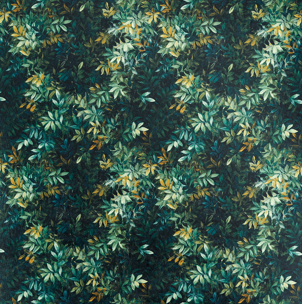 Congo Velvet Fabric - Forest - by Clarke & Clarke