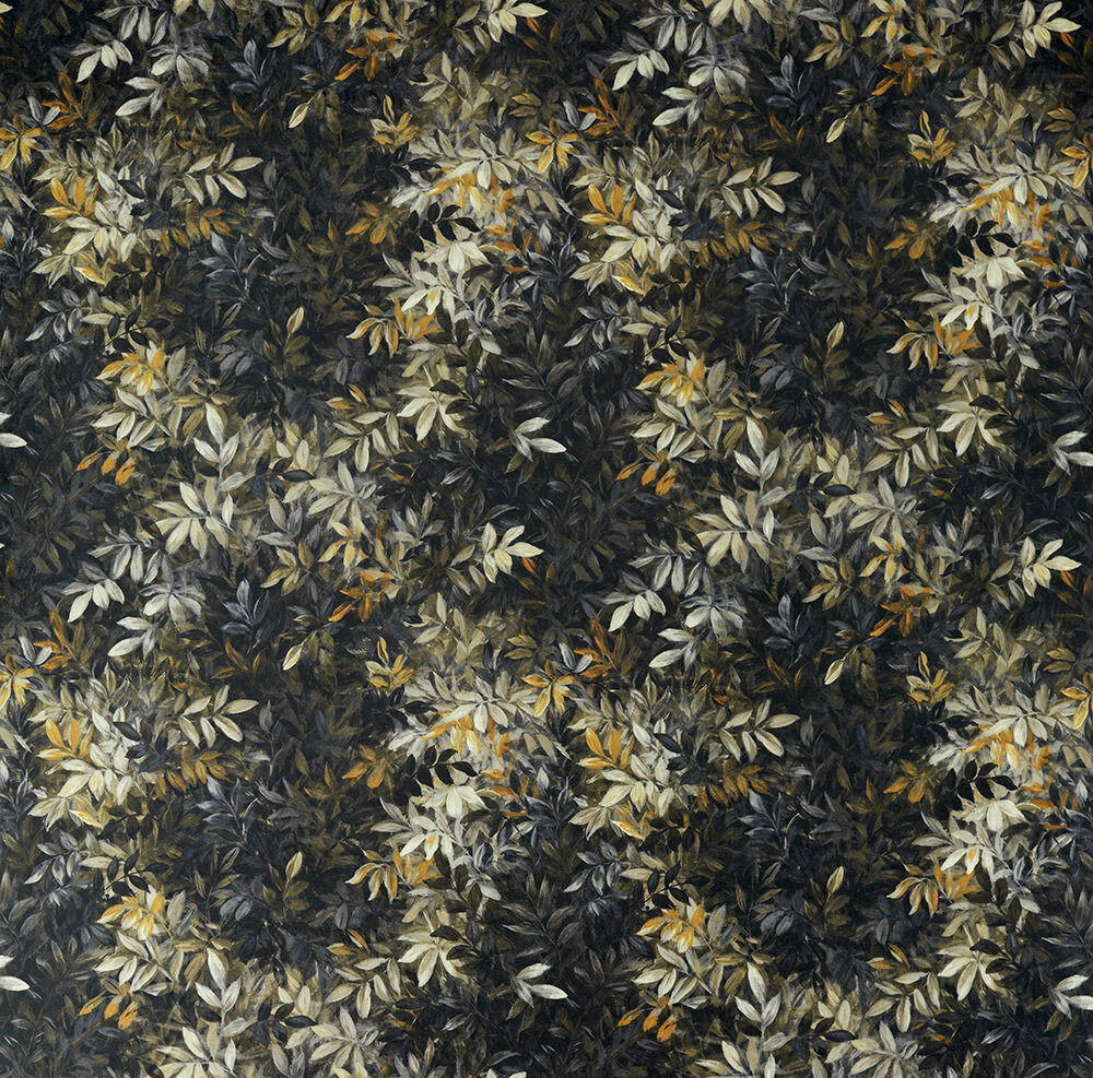 Congo Velvet Fabric - Noir - by Clarke & Clarke