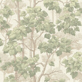 Giorgio Tree Wallpaper - Green - by Albany. Click for more details and a description.
