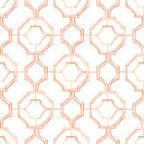 Gallina Wallpaper - Coral - by A Street Prints. Click for more details and a description.