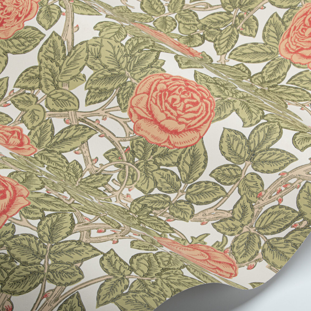 Rambling Rose Wallpaper - Twining Vine - by Morris