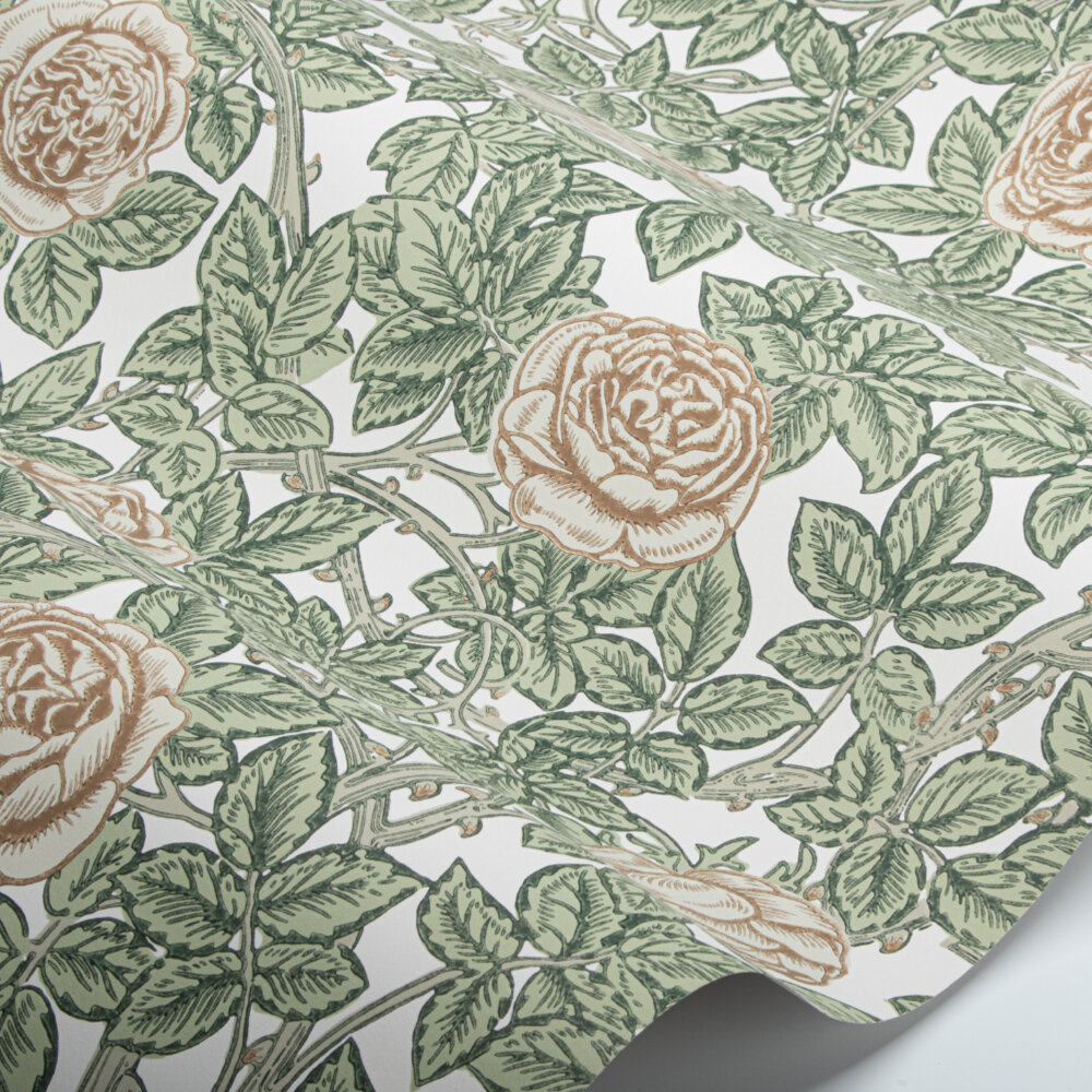 Rambling Rose Wallpaper - Leafy Arbour / Pearwood - by Morris