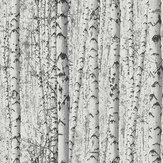 Birch Tree Motif  Wallpaper - White  - by Galerie. Click for more details and a description.
