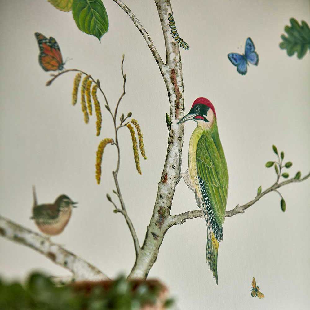 Woodland Chorus Wallpaper - Botanical / Multi - by Sanderson