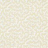 Truffle Wallpaper - Flax - by Sanderson. Click for more details and a description.