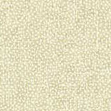 Sessile Plain Wallpaper - Birch - by Sanderson. Click for more details and a description.