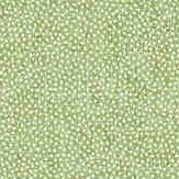 Sessile Plain Wallpaper - Moss Green - by Sanderson. Click for more details and a description.