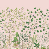 Panoramique Sycamore & Oak Mural - Rose sauvage - Sanderson. Cliquez pour en savoir plus et lire la description.
