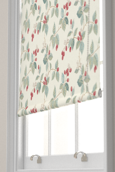 Rubus Blind - Raspberry - by Sanderson. Click for more details and a description.