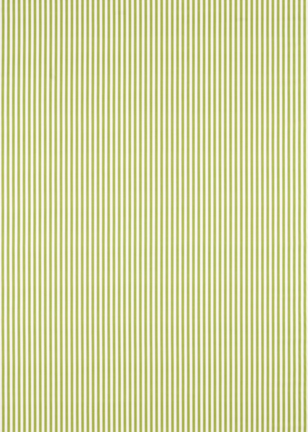 Pinetum Stripe Fabric - Sap Green - by Sanderson