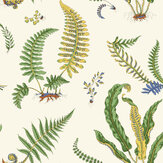 Ferns Wallpaper - Emerald - by G P & J Baker. Click for more details and a description.