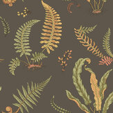 Ferns Wallpaper - Charcoal - by G P & J Baker. Click for more details and a description.