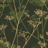 Wild Chervil Wallpaper - Sage & Gold - by Clarissa Hulse. Click for more details and a description.