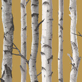 Birch Trees Wallpaper - Mustard - by Albany. Click for more details and a description.