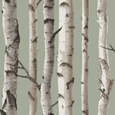 Birch Trees Wallpaper - Sage - by Albany. Click for more details and a description.
