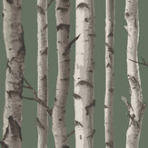 Birch Trees Wallpaper - Hunter Green - by Albany. Click for more details and a description.