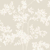 Papier peint Lunaria Silhouette - Blanc et taupe - York. Cliquez pour en savoir plus et lire la description.