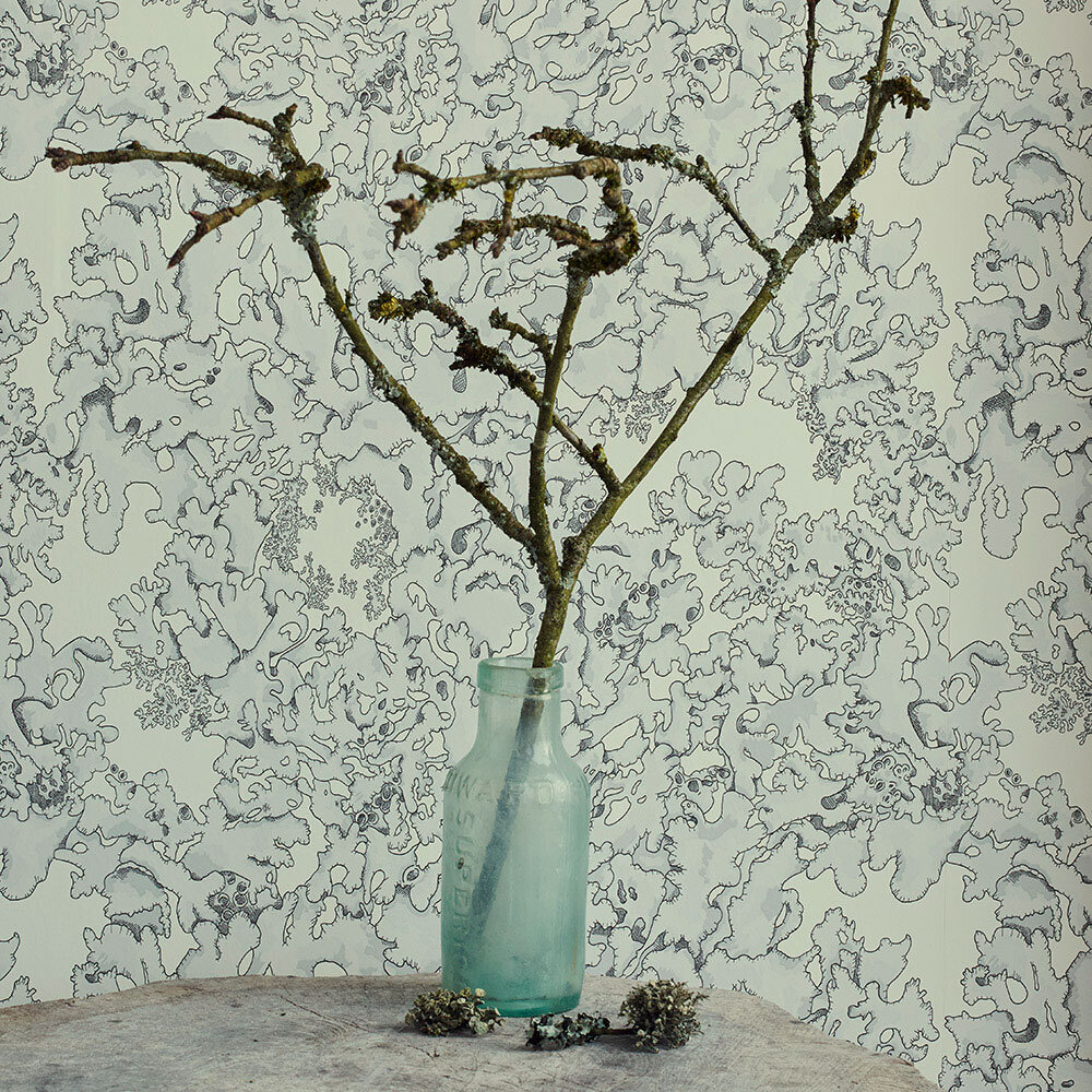 Lichen Wallpaper - Dust - by Abigail Edwards