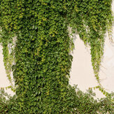 Lively Wall Mural - Green - by Metropolitan Stories. Click for more details and a description.