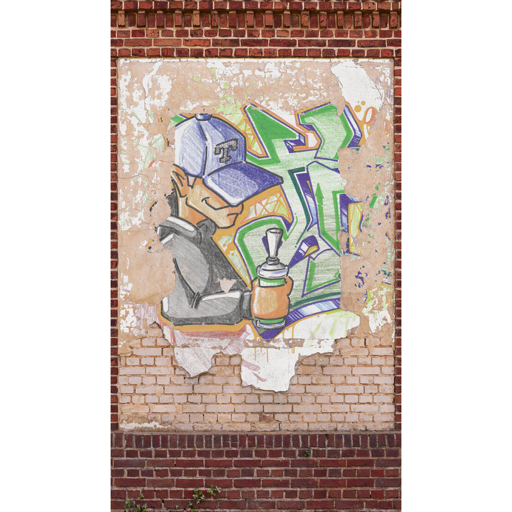Graffiti Kid Mural - Multi - by Metropolitan Stories