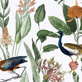 Glasshouse Wallpaper - Day - by Graham & Brown. Click for more details and a description.