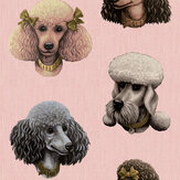 Papier peint Poodle Parlour - Pattes roses - Poodle & Blonde. Cliquez pour en savoir plus et lire la description.
