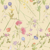 Wildflowers Wallpaper - Yellow / Multi - by Albany