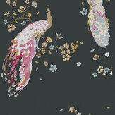 Floral Peacock Wallpaper - Black - by Albany. Click for more details and a description.