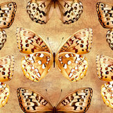 Papier peint Papilio - Doré - Avalana Design. Cliquez pour en savoir plus et lire la description.
