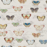 Butterfly Studies Wallpaper - Parchment - by Designers Guild. Click for more details and a description.